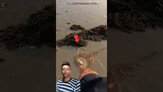 Jellyfish rescue.... 🙏Twist in the END🙏 #youtuber #youtubeshorts  #resque
