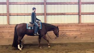 SOLD!   For Sale. Baxter is a 10 year old AQHA gelding