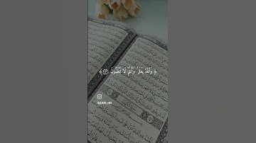 تلاوة القرآن بصوت الشيخ احمد العجمي #القران_الكريم #اكسبلور #المصحف #لايك #تلاوات #احمد_العجمي