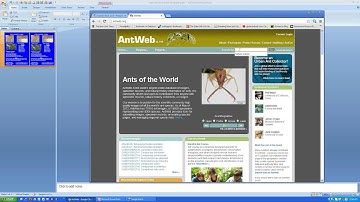 Moving kmz and Antweb images to your Poster.wmv
