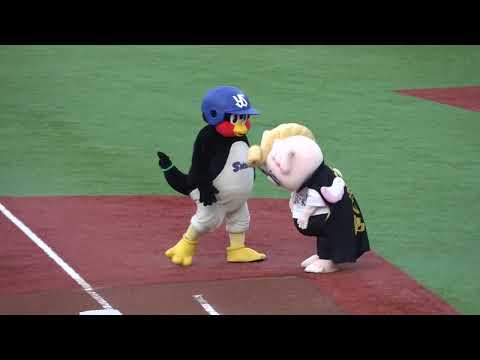23-6-14　神宮・ソフトバンク戦　つば九郎 vs バリカタくん