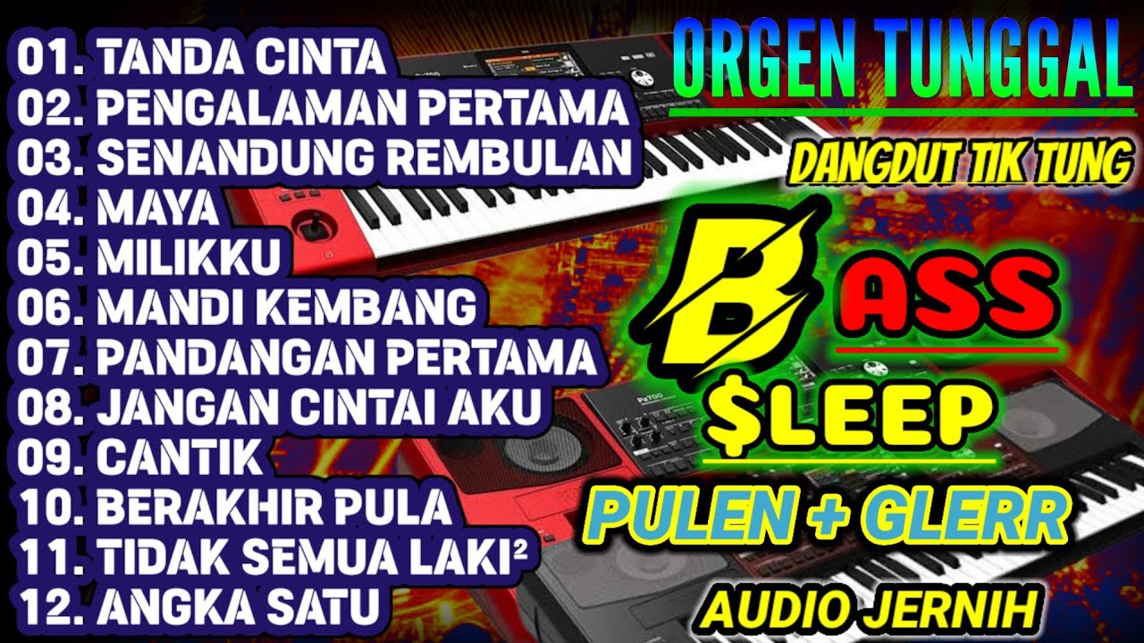 KOLEKSI LAGU DANGDUT ELECTONE POPULER 2024 LARIS DIPANGGUNG