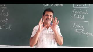 Retrieving DNA sequence from NCBI data base (II Year PG Biochem)