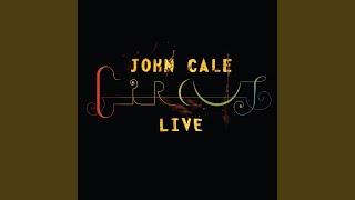 Video thumbnail of "John Cale - Venus In Furs (Live)"