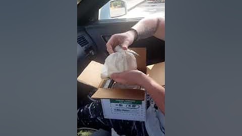 Unboxing 6/3/21 Jigsaw Ball Python.