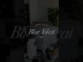 Day 1: Rebranding anything that clicks! Making Blue Tokai Parisian
