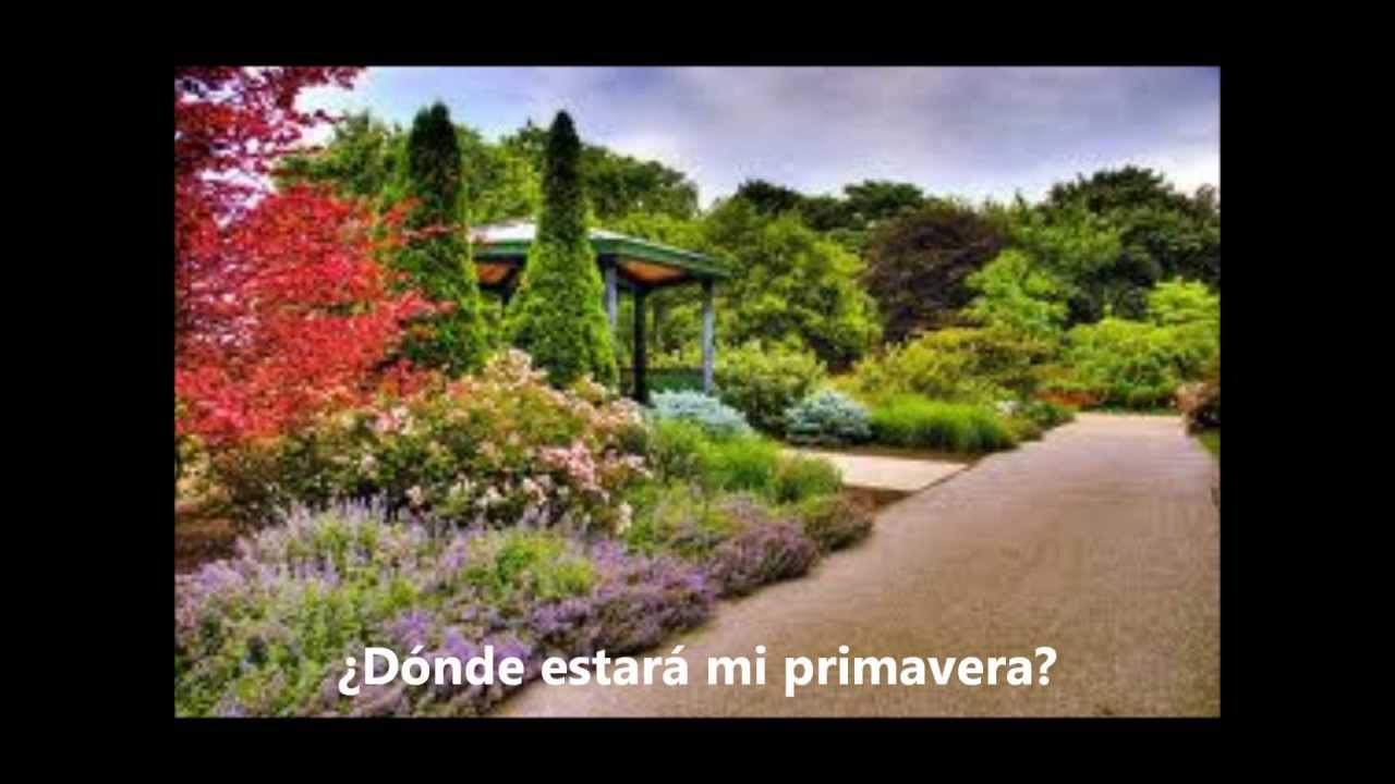 Donde esta mi Primavera (marco Antonio Solis) Letras YouTube Donde esta mi Primavera (marco Antonio Solis) Letras YouTube