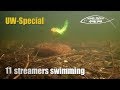 11 Streamer flies - swimming under water