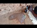 Tunaambiwa Kua POMBE SO CHAI Mambo Yenyewe Ndoo Mamahivi 