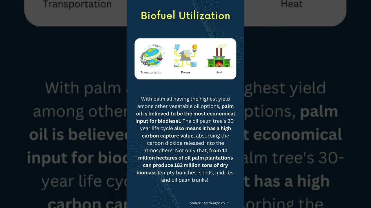Biofuels Created from Palm Oil  
