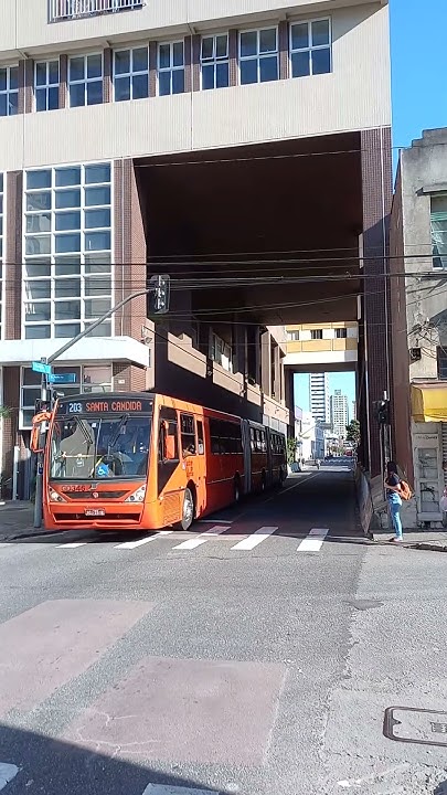 Linhas de ônibus de Curitiba têm nomes curiosos e bizarros. Veja e  divirta-se!