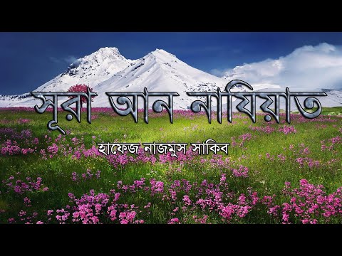 ভিডিও: সঠিক বাস্তবায়নকারী বা বাস্তবায়নকারী কোনটি?