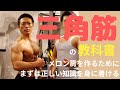 三角筋の解剖学を理解しなければメロン肩の未来は無し!