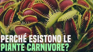 Piante Carnivore  Perché esistono? [SilverBrain]