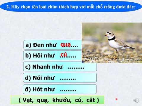 Luyện từ và câu Lớp 2: Từ ngữ về loài chim. Dấu chấm, dấu phẩy
