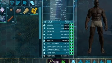 Ark Ultimate Survival Edition - Crafting A Stone Pickaxe