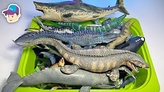 Sea Animals - Sharks Whales Dolphins Megalodon Mosasaurus Marine Reptiles Tylosaurus