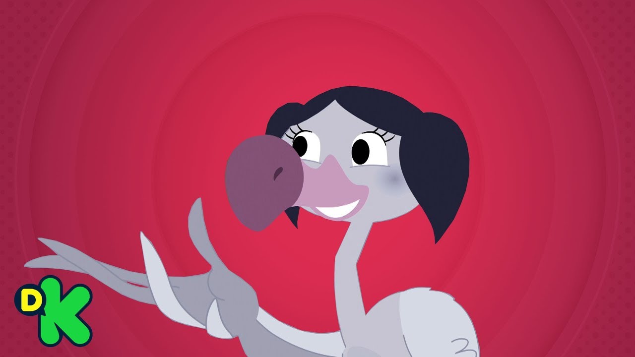 Los flamencos | El mundo de Luna | Discovery Kids