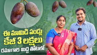 ఈ మామిడిపండ్లు kg 3 లక్షలు Rama's Exotic Fruits garden