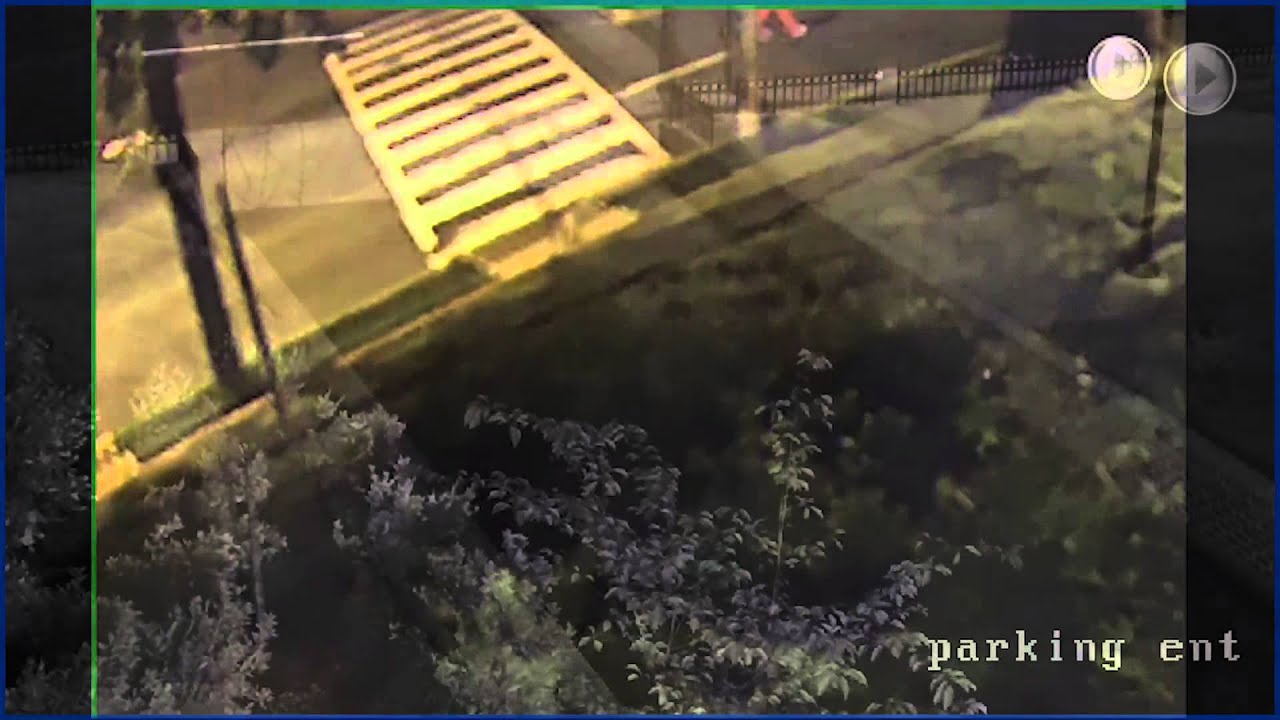 Persons of Interest in Robbery-F&V, 4600 b/o Benning Rd, SE, on July 15, 2015 videos for cats
