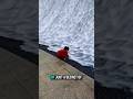 The Waterfall That Vanishes Without a Splash 🌊✨ | Nature’s Hidden Mystery#trending #viral