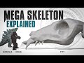 The megatitan skeleton explained  godzilla x kong