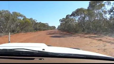 Choosing feral pig baiting sites: Part 4 Travel pads