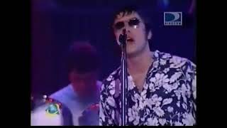 Oasis Wonder Wall Live