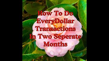 How To Do EveryDollar Transactions In Two Separate Months