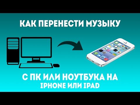 Вопрос: Как перенести песни из IPod на компьютер?