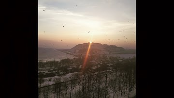 Peshka - Strange Premunition