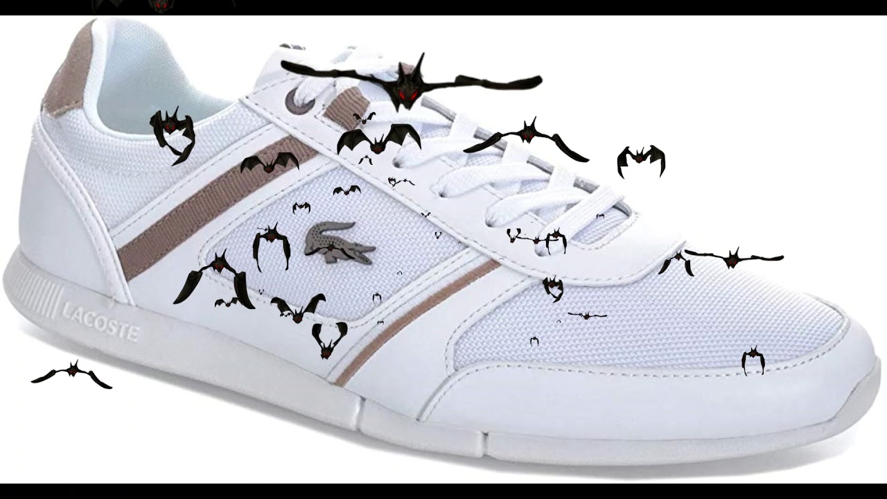 ▷Las Mejores Zapatillas Lacoste en Amazon una locura ✔️2019 - YouTube
