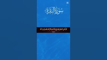 القرآن الكريم.سورة البقرة #المصحف #راحة_نفسية #الرحمن #القزابري