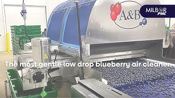 The most gentle low drop blueberry air cleaner | Milbor PMC