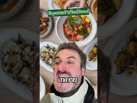 VEGAN’s V’s PLANT BASED