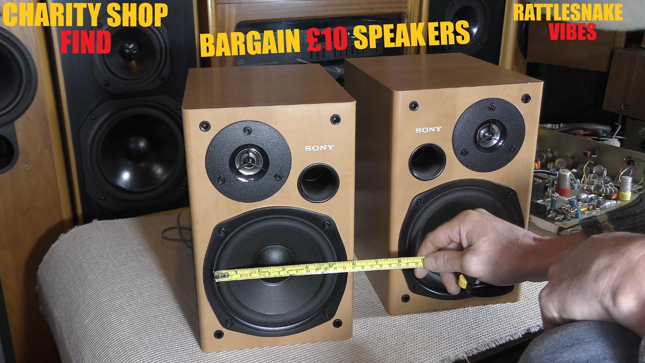 SUPER CHEAP SONY SS CP555S BOOKSHELF SPEAKERS HIFI STEREO AUDIO