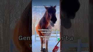 We Live In A Culture That Rewards The Easy Defaults Anger, Misery, And Reactive Force