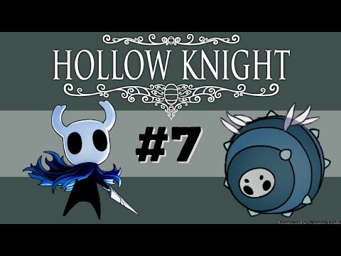 hollow knight all 163 hunter