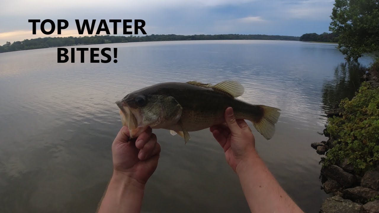 Checking Out Some Bass Fishing Spots on a Local Lake!