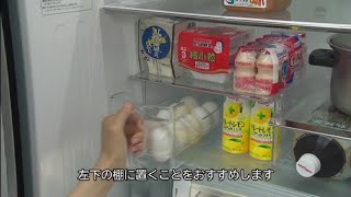 フリー卵ケース：日立の家電品