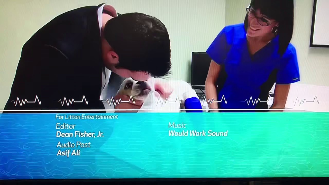 Litton Entertainment Hearst Television Logo (V3) YouTube