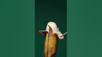 Don