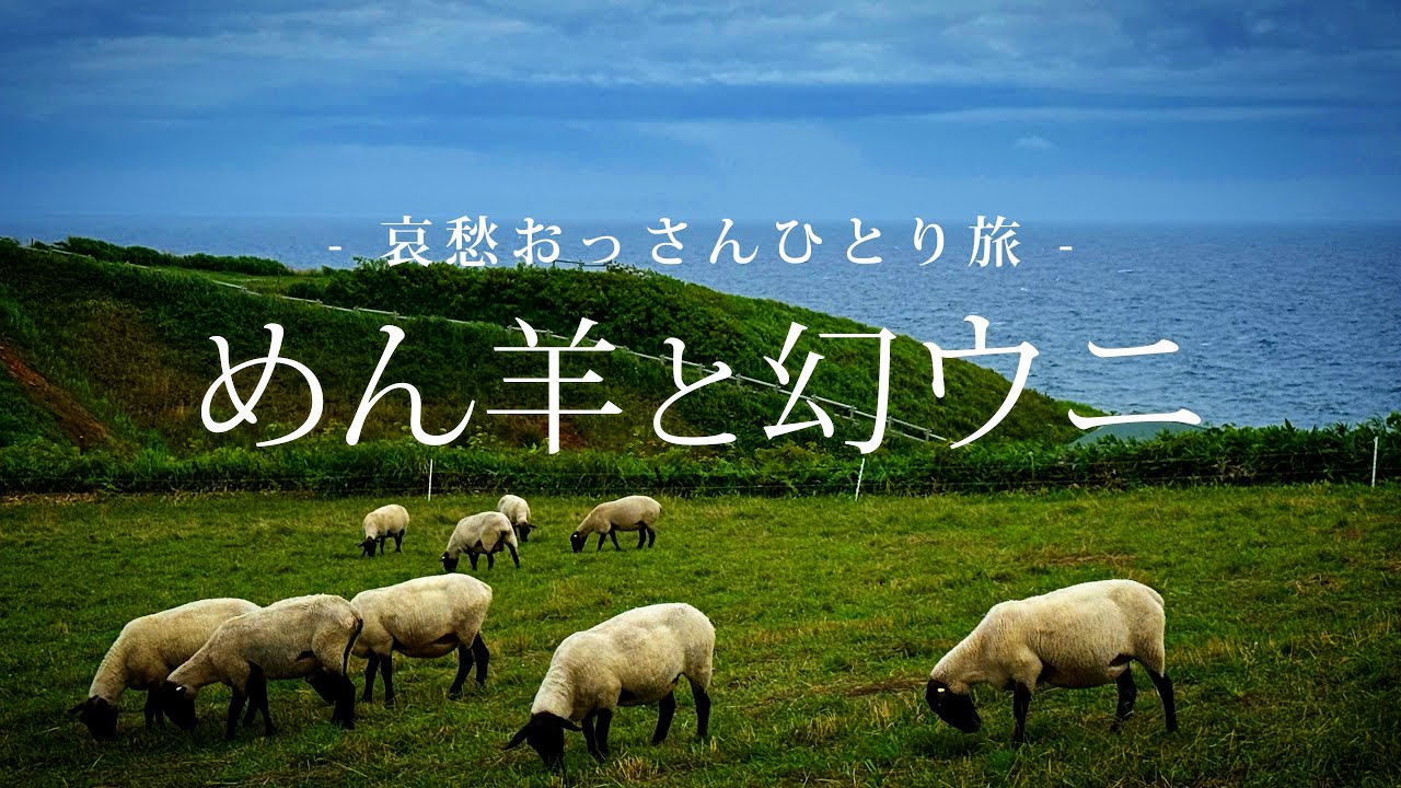 【北海道｜焼尻島】めん羊と幻ウニ｜哀愁おっさんひとり旅 Vol.185