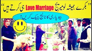 Qurbani Prank Funny Customers In Bakra Mandi Lahore || Eid Ul Adha 2021 Special || JalvaTV