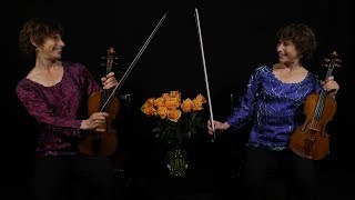 Baroque violin and modern violin: What's the difference? An introduction. 4K UHD chords