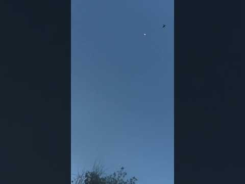 صيد الورور لبنان ١٢ رفيع