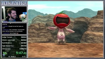Final Fantasy XII Speedrun - 5:59:31