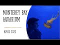 Monterey Bay Aquarium - April 2022