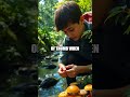 Identifying Edible Plants in the Wild