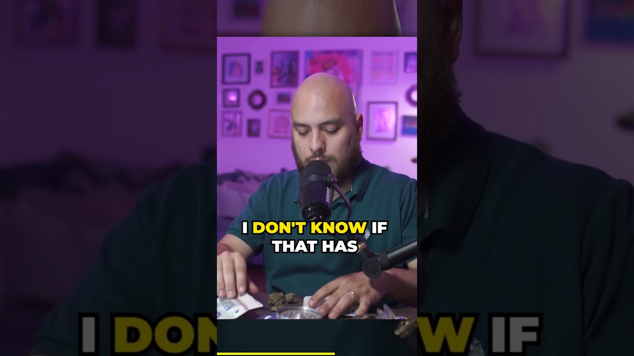 Big vs Small Nug Battle! Which One Would You Pick?